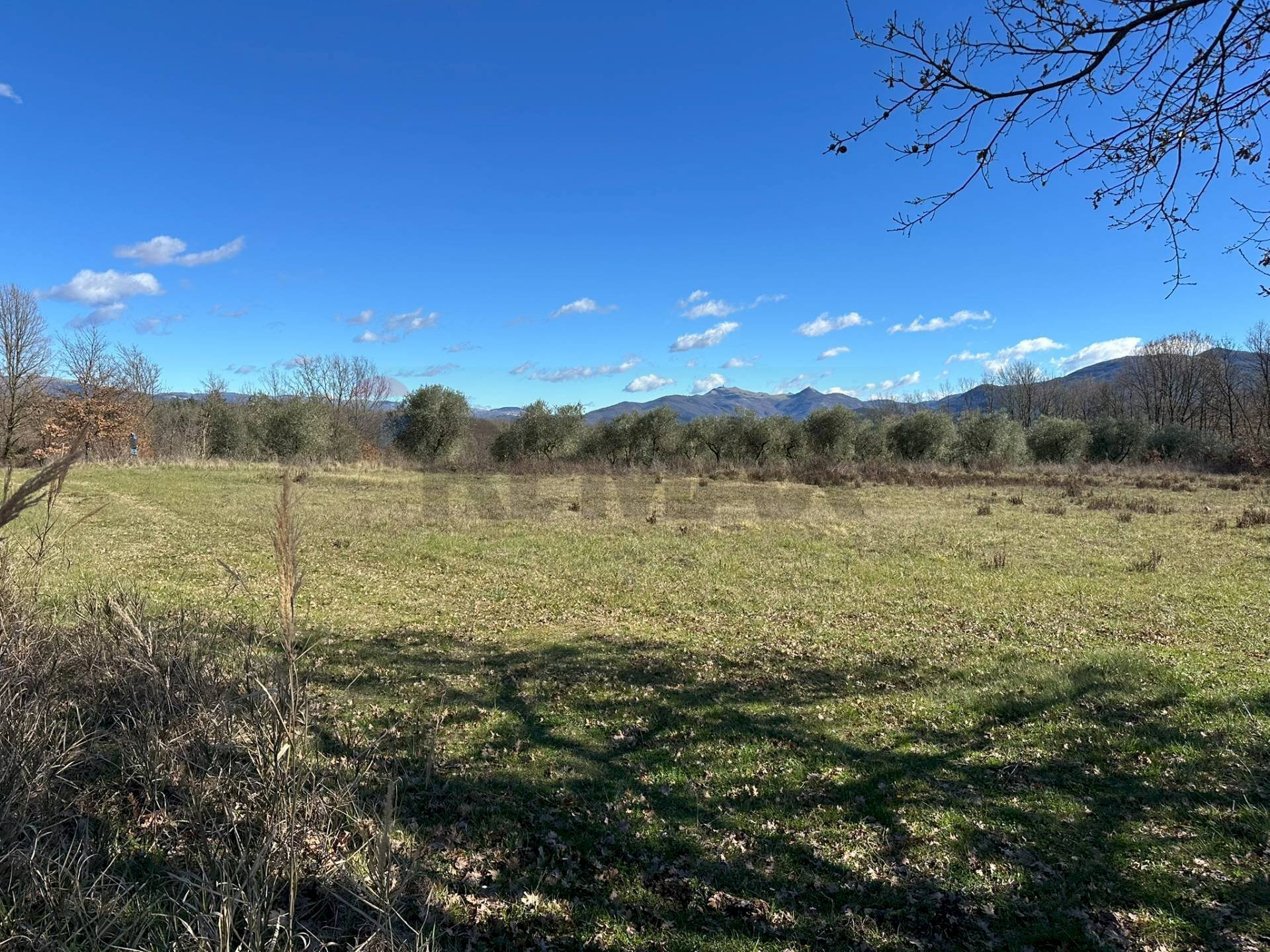 Vista delle montagne - Terreno agricolo Strada interpoderale Valle Porcino, Colli a Volturno - foto 3