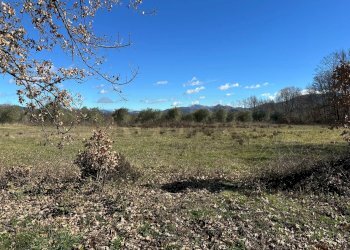 Vista delle montagne - Terreno agricolo Strada interpoderale Valle Porcino, Colli a Volturno - foto 7