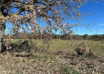 Vista delle montagne - Terreno agricolo Strada interpoderale Valle Porcino, Colli a Volturno - foto 8