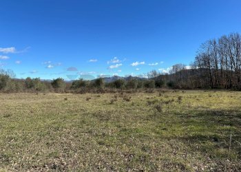 Vista delle montagne - Terreno agricolo Strada interpoderale Valle Porcino, Colli a Volturno - foto 10