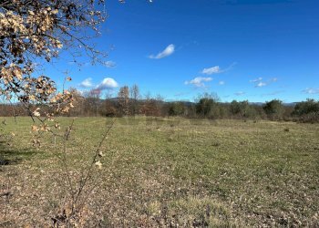Vista delle montagne - Terreno agricolo Strada interpoderale Valle Porcino, Colli a Volturno - foto 11