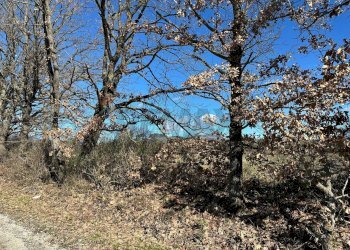 Vista delle montagne - Terreno agricolo Strada interpoderale Valle Porcino, Colli a Volturno - foto 14