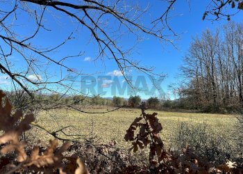 Vista delle montagne - Terreno agricolo Strada interpoderale Valle Porcino, Colli a Volturno - foto 15