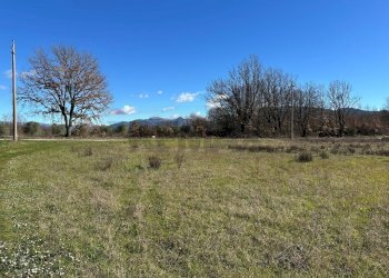 Vista delle montagne - Terreno agricolo Strada interpoderale Valle Porcino, Colli a Volturno - foto 17