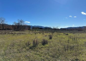 Vista delle montagne - Terreno agricolo Strada interpoderale Valle Porcino, Colli a Volturno - foto 18