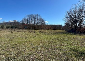 Vista delle montagne - Terreno agricolo Strada interpoderale Valle Porcino, Colli a Volturno - foto 23