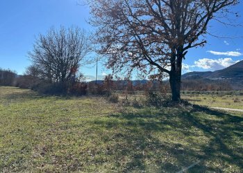 Vista delle montagne - Terreno agricolo Strada interpoderale Valle Porcino, Colli a Volturno - foto 25