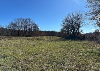 Giardino - Terreno agricolo Strada interpoderale Valle Porcino, Colli a Volturno - foto 27