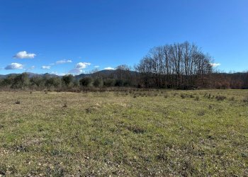 Vista delle montagne - Terreno agricolo Strada interpoderale Valle Porcino, Colli a Volturno - foto 28