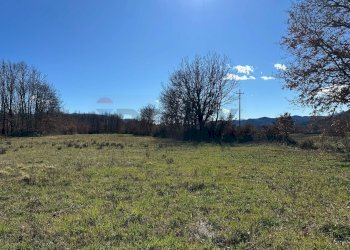 Giardino - Terreno agricolo Strada interpoderale Valle Porcino, Colli a Volturno - foto 30