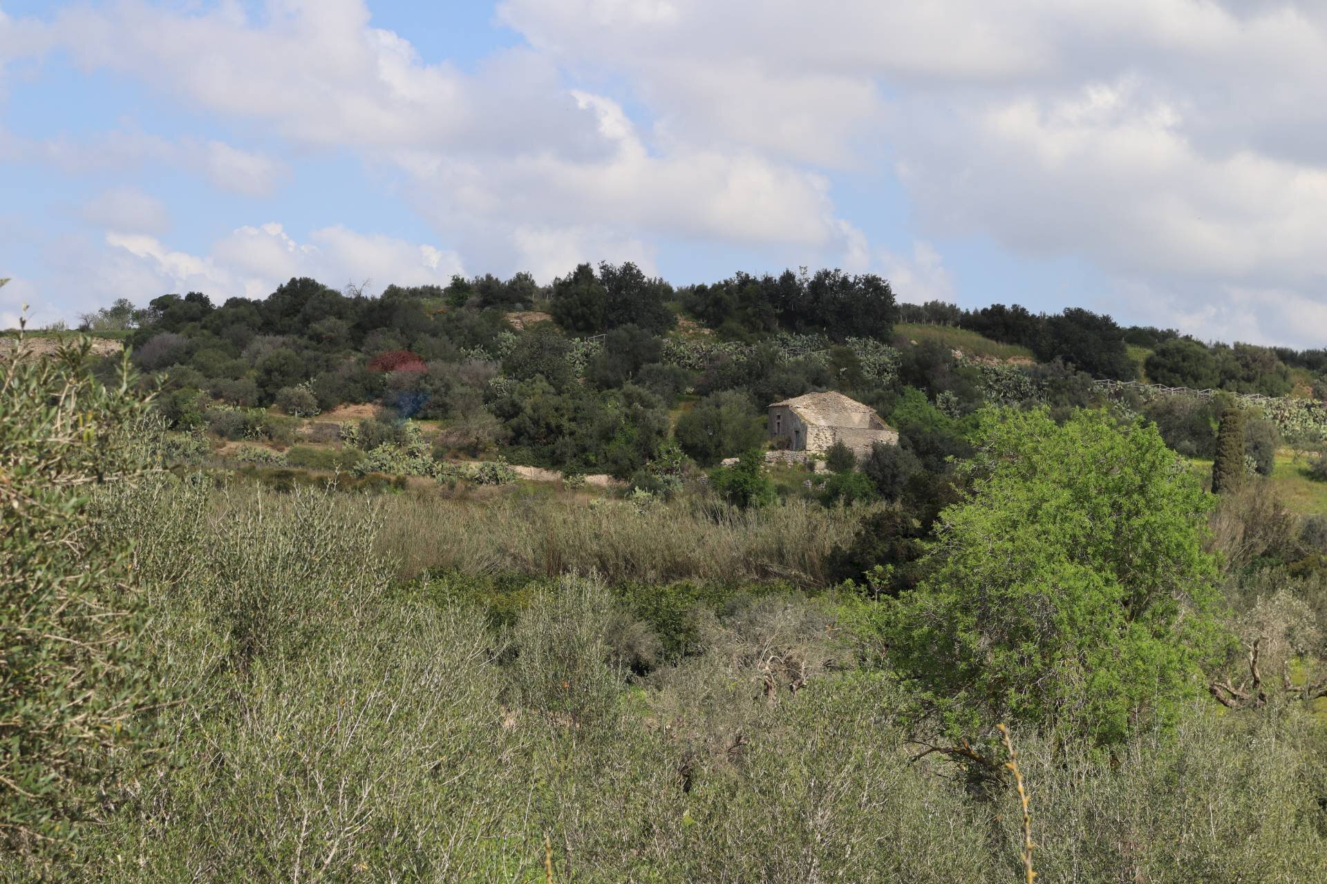 Vista delle montagne - Rustico C.da S.Silvestro
 
snc, Vittoria - foto 1