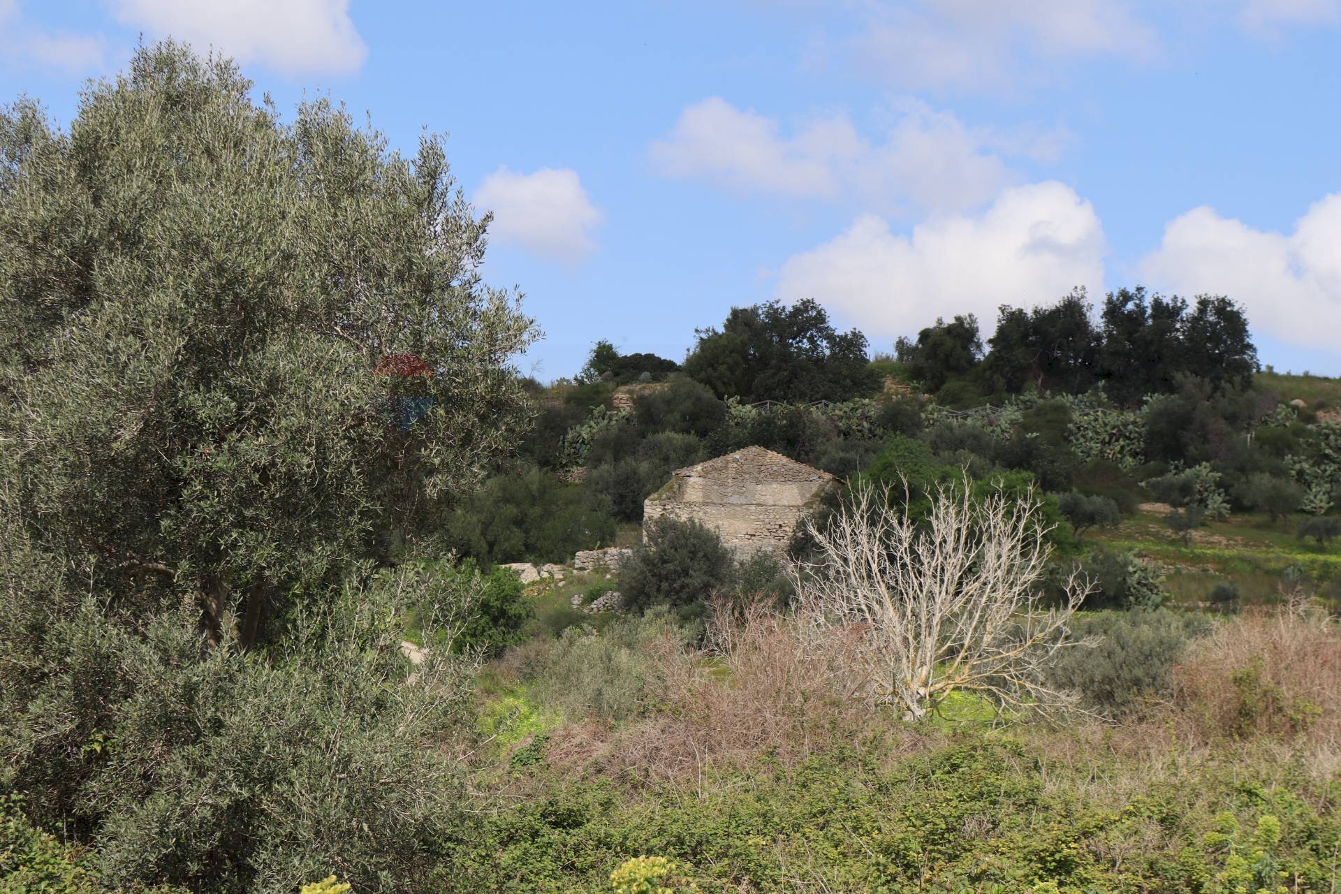 Vista delle montagne - Rustico C.da S.Silvestro
 
snc, Vittoria - foto 2