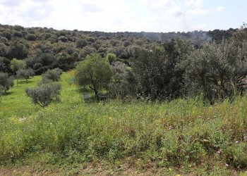 Vista delle montagne - Rustico C.da S.Silvestro
snc, Vittoria - foto 11