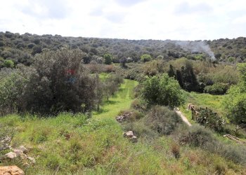 Vista delle montagne - Rustico C.da S.Silvestro
snc, Vittoria - foto 16