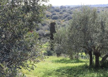 Non correlato - Rustico C.da S.Silvestro
snc, Vittoria - foto 21