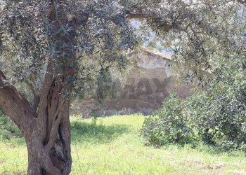 Giardino - Rustico C.da S.Silvestro
snc, Vittoria - foto 22