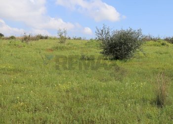 Giardino - Rustico C.da S.Silvestro
snc, Vittoria - foto 23