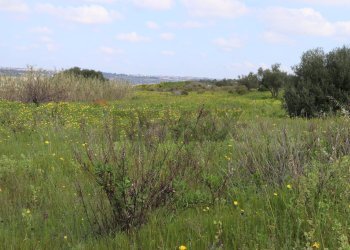 Vista delle montagne - Rustico C.da S.Silvestro
snc, Vittoria - foto 26