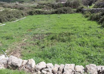 Giardino - Rustico C.da S.Silvestro
snc, Vittoria - foto 34