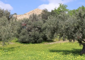 Giardino - Rustico C.da S.Silvestro
snc, Vittoria - foto 39