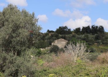 Vista delle montagne - Rustico C.da S.Silvestro
snc, Vittoria - foto 42