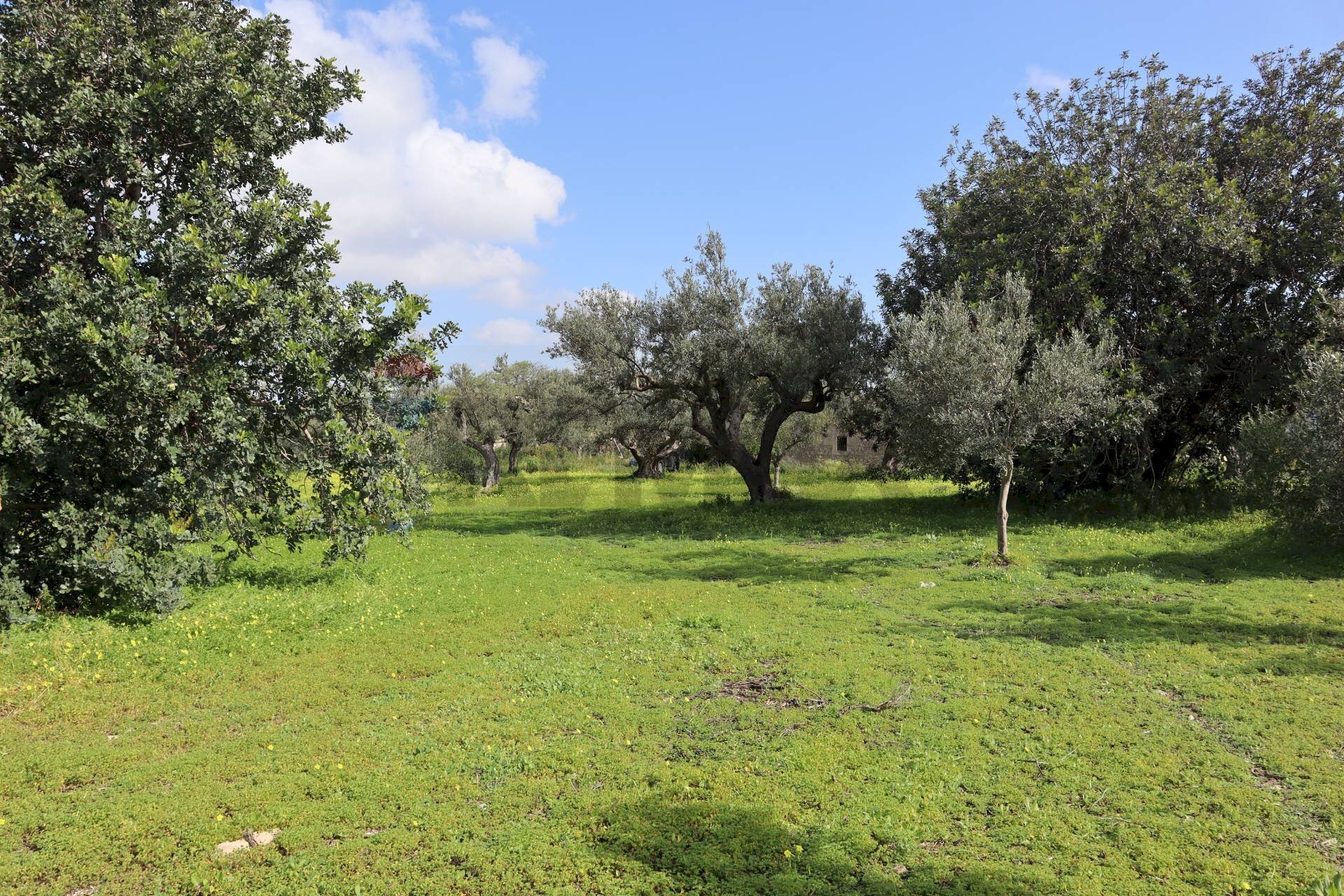 Giardino - Agricultural land C.da S. Silvestro, Vittoria - photo 1