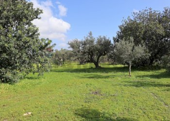 Giardino - Agricultural land C.da S. Silvestro, Vittoria - photo 1