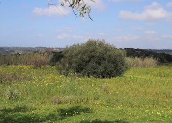 Vista delle montagne - Agricultural land C.da S. Silvestro, Vittoria - photo 9