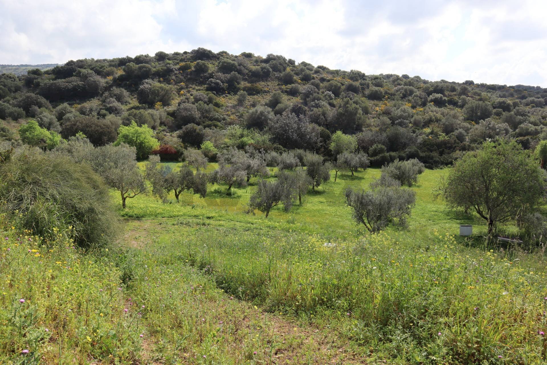 Vista delle montagne - Agricultural land C.da S.Silvestro, Vittoria - photo 1