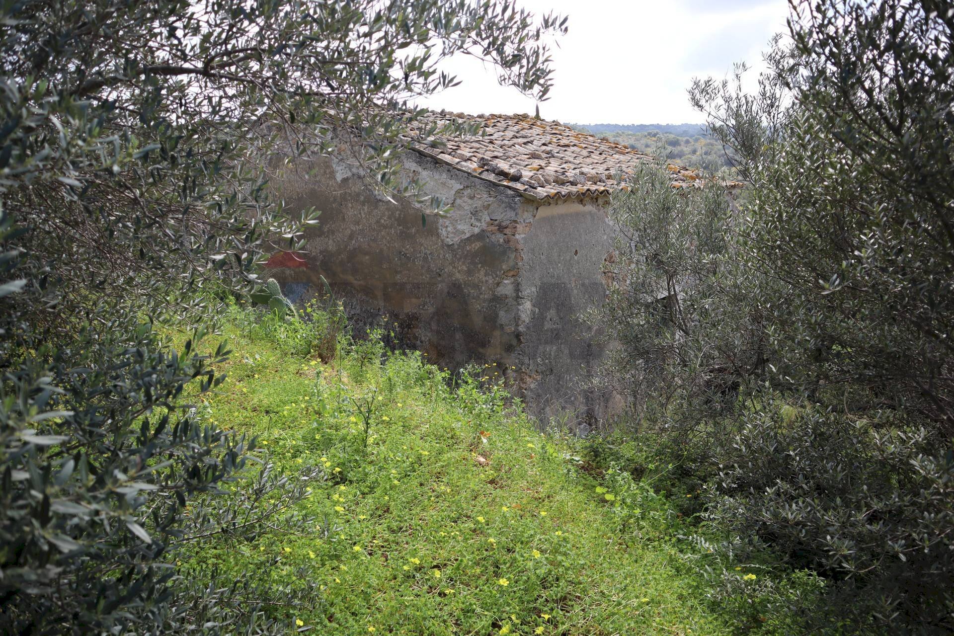 Vista delle montagne - Agricultural land C.da S.Silvestro, Vittoria - photo 2