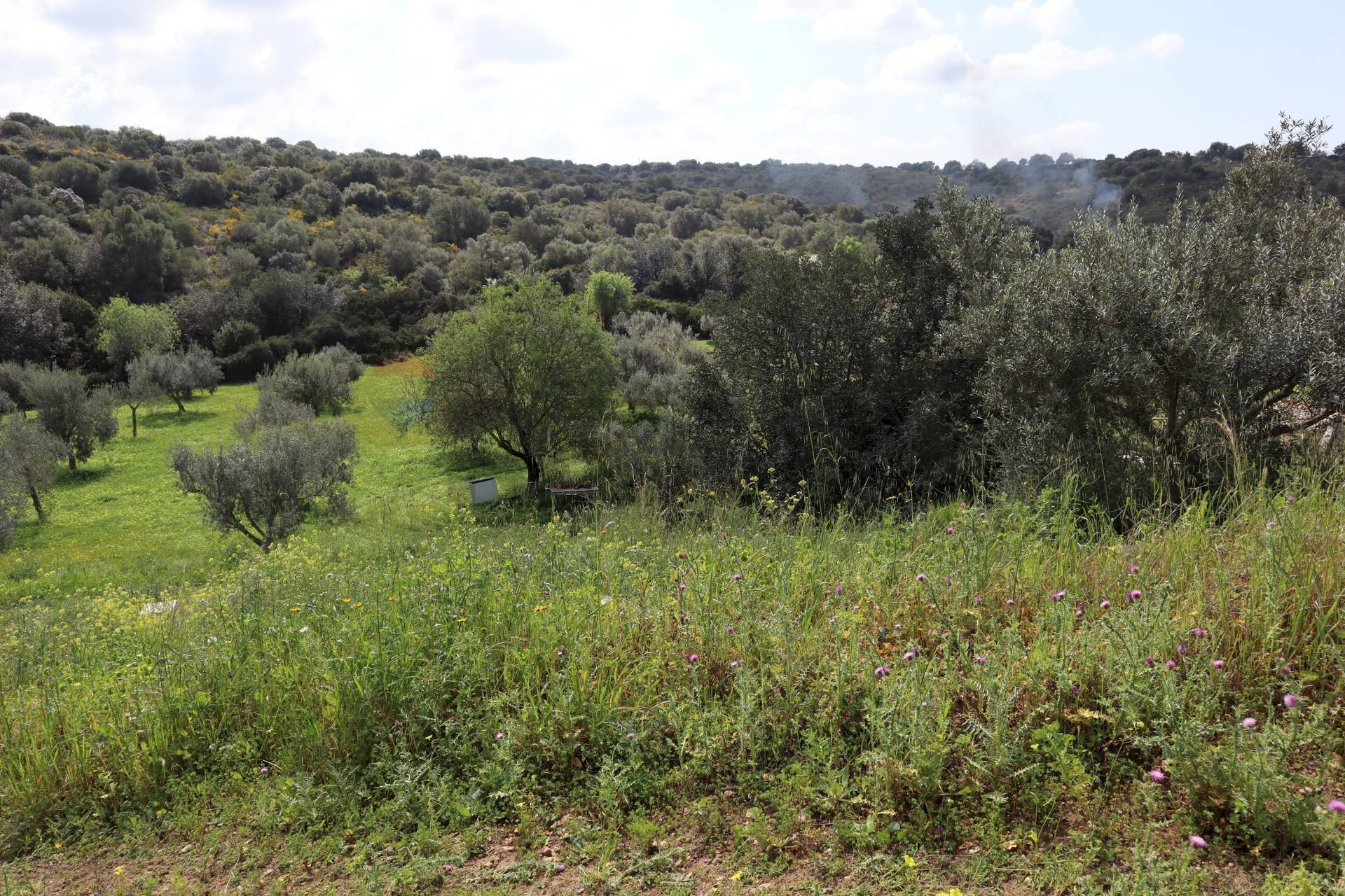 Vista delle montagne - Agricultural land C.da S.Silvestro, Vittoria - photo 3