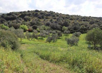 Vista delle montagne - Agricultural land C.da S.Silvestro, Vittoria - photo 1