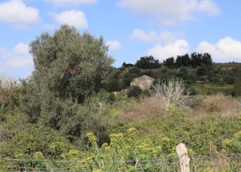 Non correlato - Agricultural land C.da S.Silvestro, Vittoria - photo 7