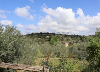Vista delle montagne - Agricultural land C.da S.Silvestro, Vittoria - photo 9