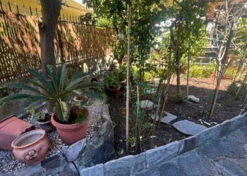 Giardino - Villa viale delle Palme, 11, Genova (neighborhood Nervi) - photo 5