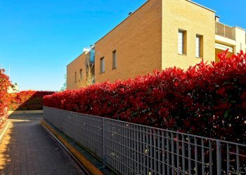 Zona - Trilocale via Campi, SN, Sala Baganza - foto 3