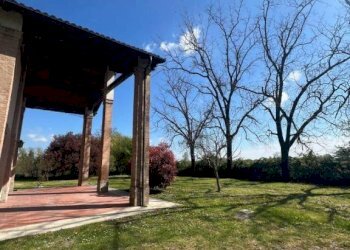 Giardino - Rustico via Castellaccio, 25, Valsamoggia - foto 4