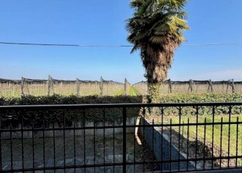 Balcone - Appartamento via Dino Buffa, 5, Campiglione Fenile - foto 16