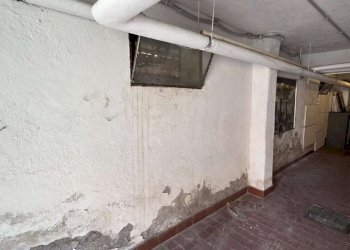 whatsapp image 2026-04-02 at 12.39.30 (3) - Box via Picco dei Tre Signori, Roma - photo 15