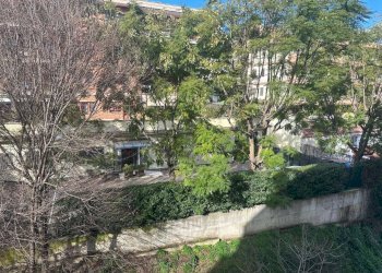 Viste 1. - Two-room apartment via Beata Vergine del Carmelo, Roma (neighborhood Mostacciano) - photo 16