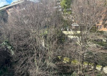 Viste 3. - Two-room apartment via Beata Vergine del Carmelo, Roma (neighborhood Mostacciano) - photo 18