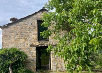 whatsapp image 2024-06-10 at 17.51.07 - Independent house via Caselle di Stiolo, Monghidoro - photo 3