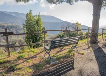 Terreno - Terreno edificabile Frazione San Saturnino, 67, Moneglia - foto 3