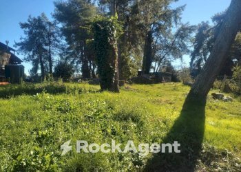 Terreno - Villa via dei Piani, 253, Nepi - foto 37