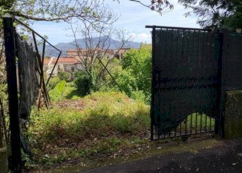 Terreno - Casa indipendente via Guglielmo Marconi, 138, Trecchina - foto 34