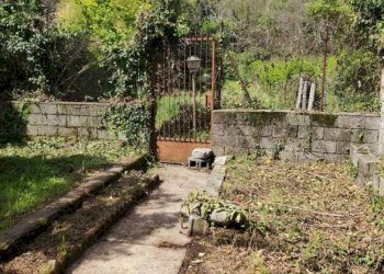 Terreno - Casa indipendente via Guglielmo Marconi, 138, Trecchina - foto 37