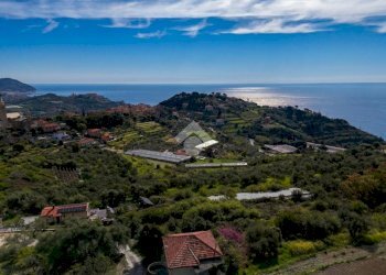 Terreno edificabile Via buscarin, Imperia - foto 10