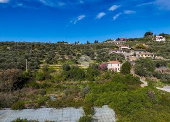 Terreno edificabile Via buscarin, Imperia - foto 13