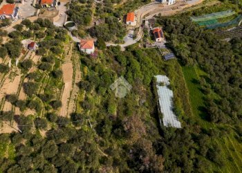 Terreno edificabile Via buscarin, Imperia - foto 15