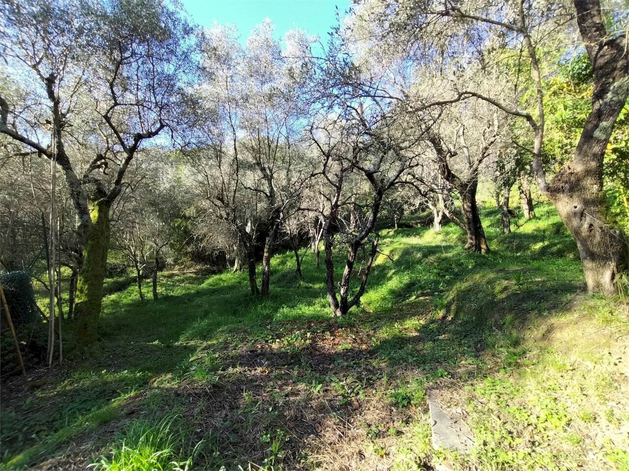 lu8.jpg - Villa Luni - foto 1